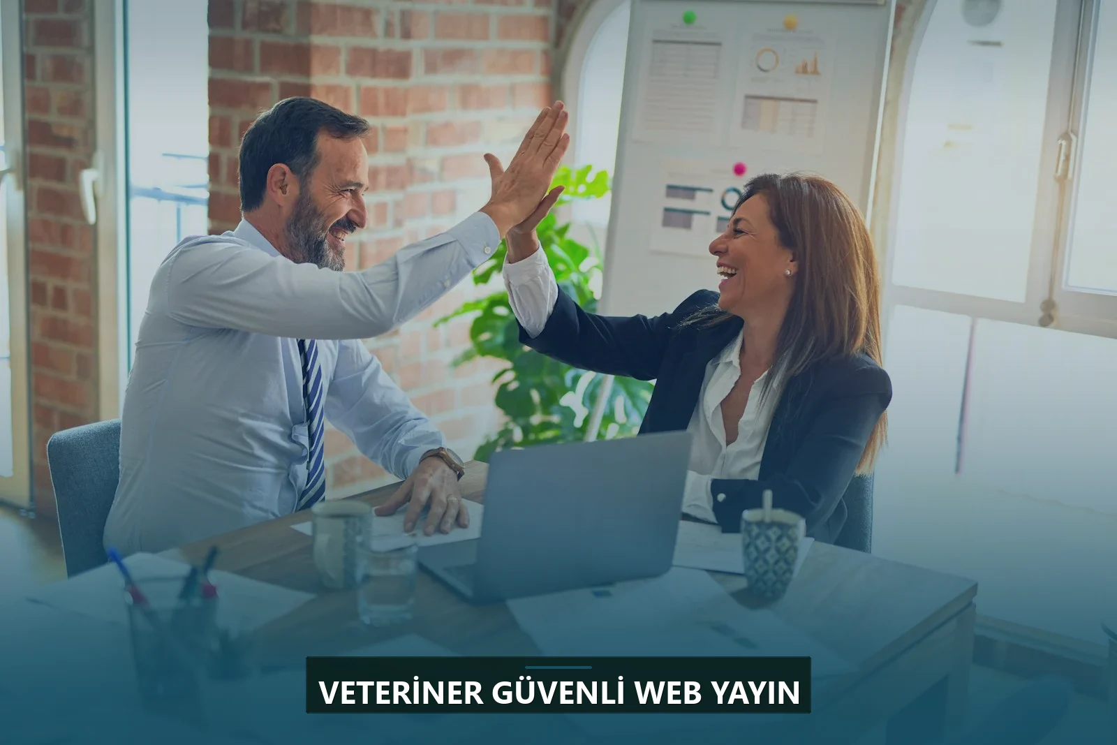 Veteriner Güvenli Web Yayın