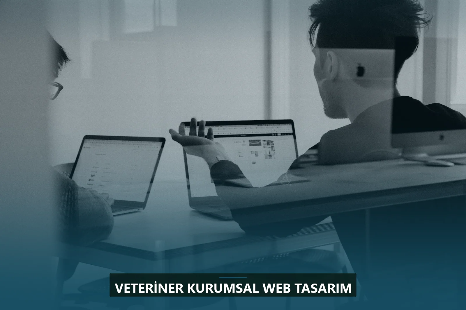 Veteriner Kurumsal Web Tasarım