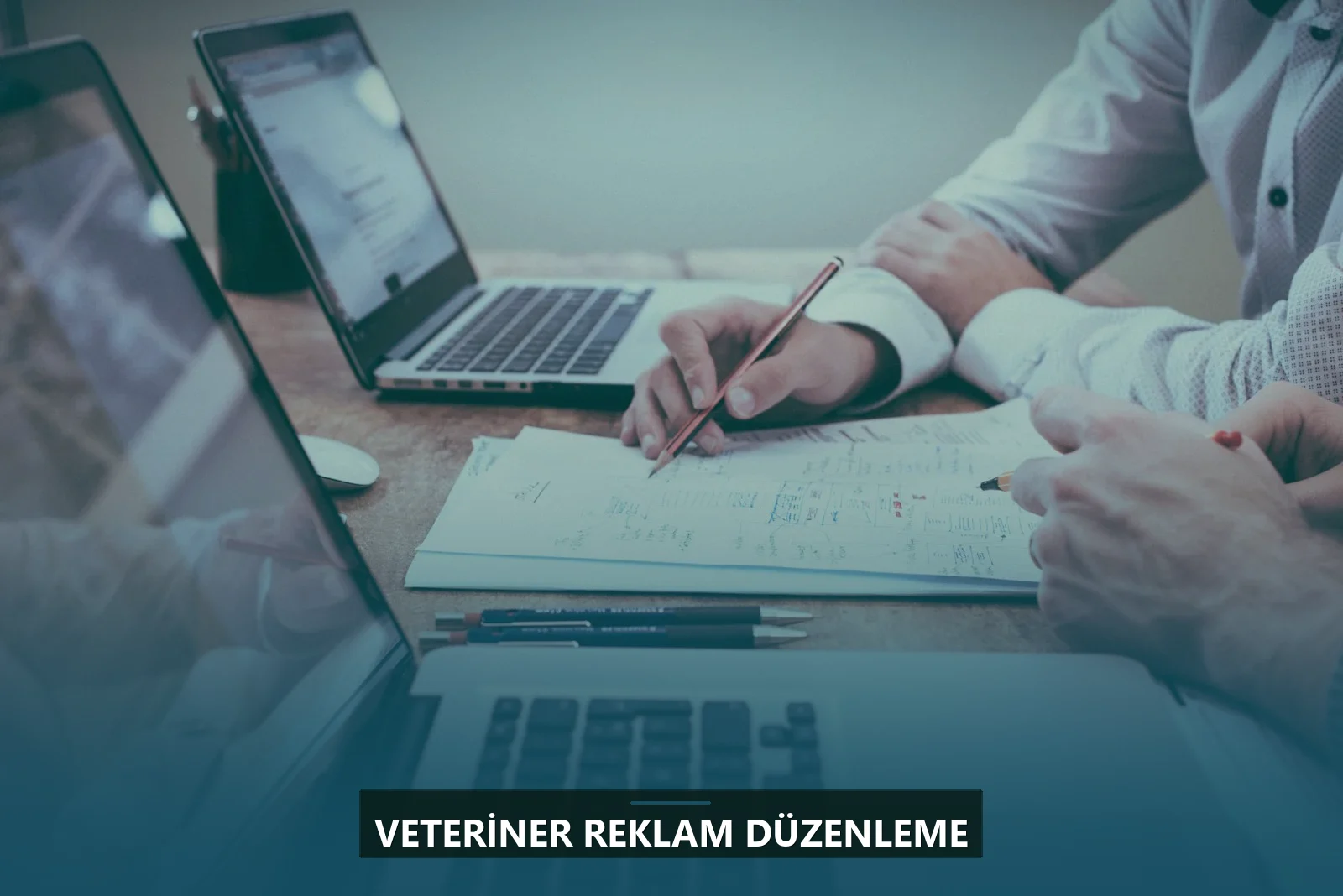 Veteriner Reklam Düzenleme