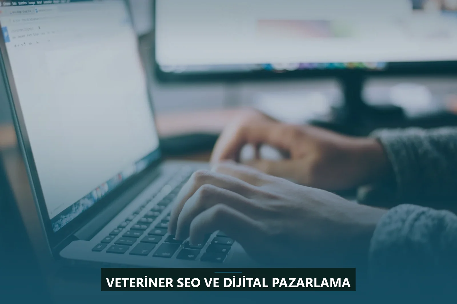 Veteriner SEO ve Dijital Pazarlama